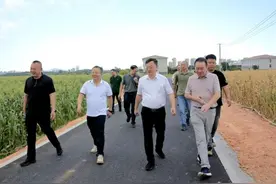 加快推进西岩山都市田园项目建设！区委书记李毅调研→图片
