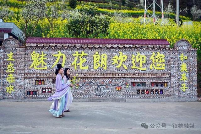 花朗车子坝：开给镇雄人自己的春天