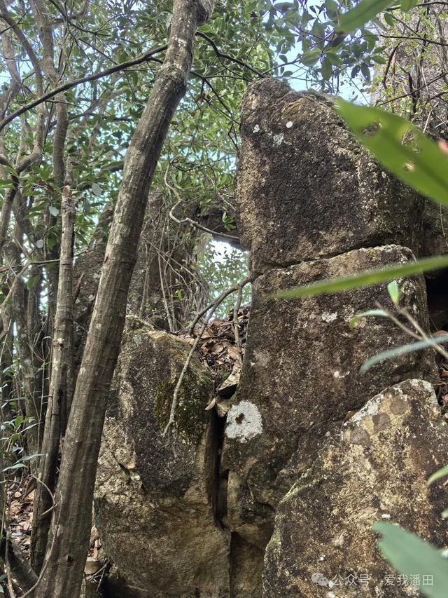 打卡丰顺尖笔岽！看狗探石奇观，瞰半山水库，一览三镇美景