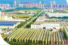 阳西激发“镇能量”图片