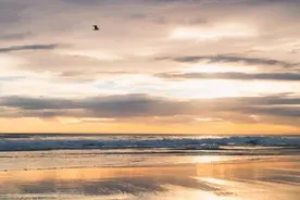 中国之运 ：恰逢第四次工业革命图片