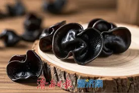 【科普天地】食用木耳话安全图片
