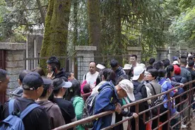 美好生活在云南 | 大理宾川鸡足山：人气热，消费旺图片