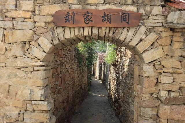 这个暑假，张夏带您开启一场全新的“乡村风情游”