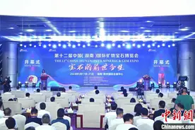 第十二届中国（湖南）国际矿物宝石博览会开幕 各国奇珍异宝亮相图片