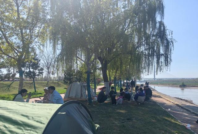 野趣满盈黄河岸，春日露营沐暖阳