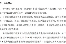 海量财经 | 岭南股份多笔债务暴雷，公司仍在全力筹措偿债资金图片