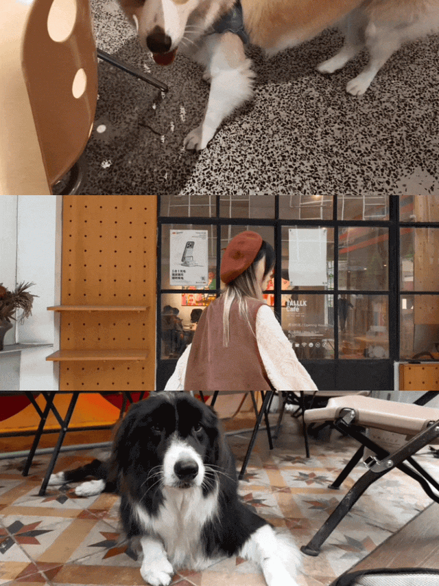 Live Photo 的十年故事，将被如何续写？