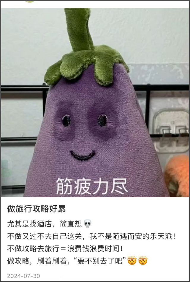 被避雷攻略整麻了的年轻人，开始在美团旅行上“拼好团”