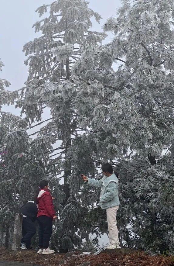 零下3℃的浪漫 融水雾凇等你来打卡