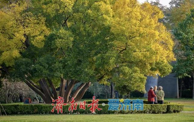 秋色不等人 速来解锁公园景区的N种玩法！