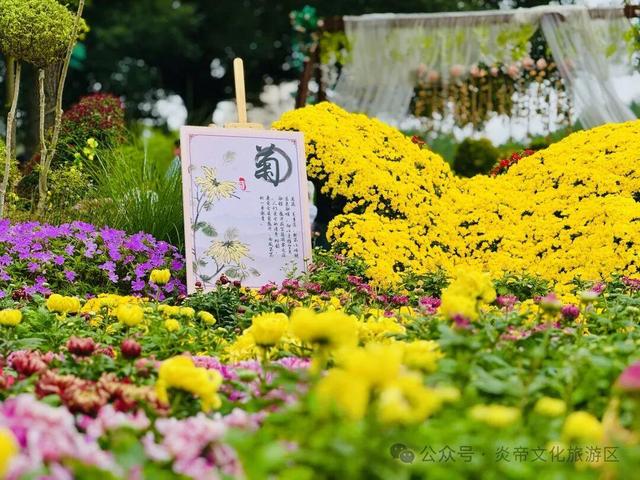 炎帝故里系列主题活动持续至月底