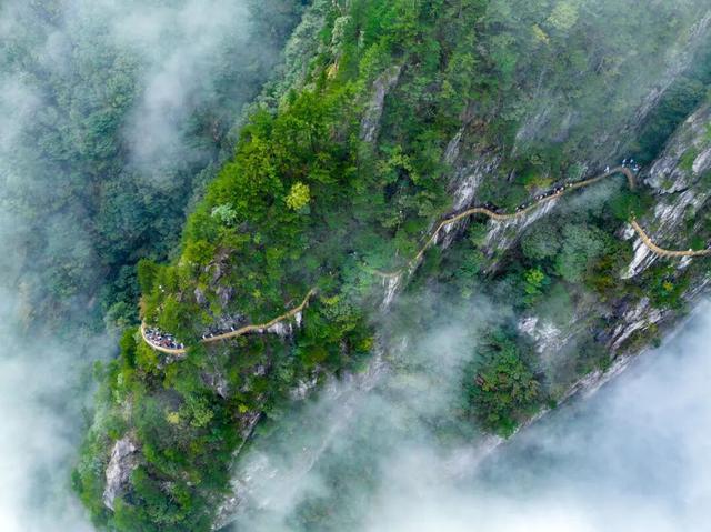 山称明月好，月出遍山明