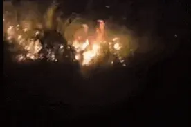 浪漫过“火”！山头莫名起火，竟和情侣求婚有关？图片