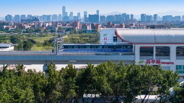 东莞地铁人气爆棚！下周来这个镇徒步、赏景、领福利！