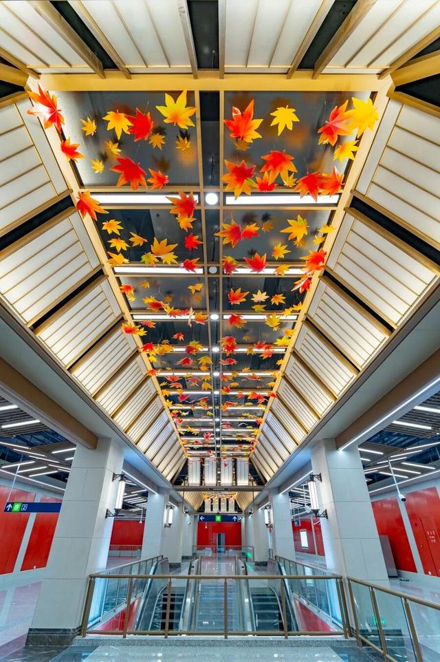 6号线！赶紧和栖霞山“奔现”吧！！