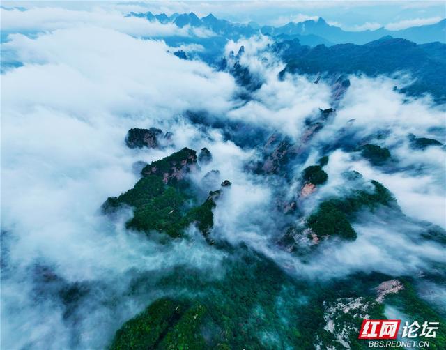 【每日一图@湖南】在杨家界的秋日云海里，遇见最灵动的中国画