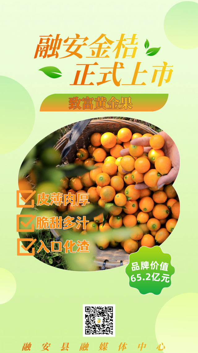 今日开赛！“我是融安金桔王”擂台赛（初赛）开启