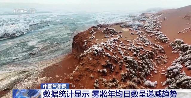 从冬日童话到四季可赏 科技让雾凇美景不再“可遇不可求”