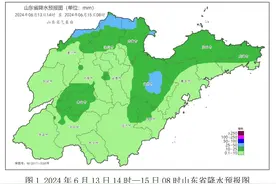 山东多地有强对流天气 局部有冰雹图片