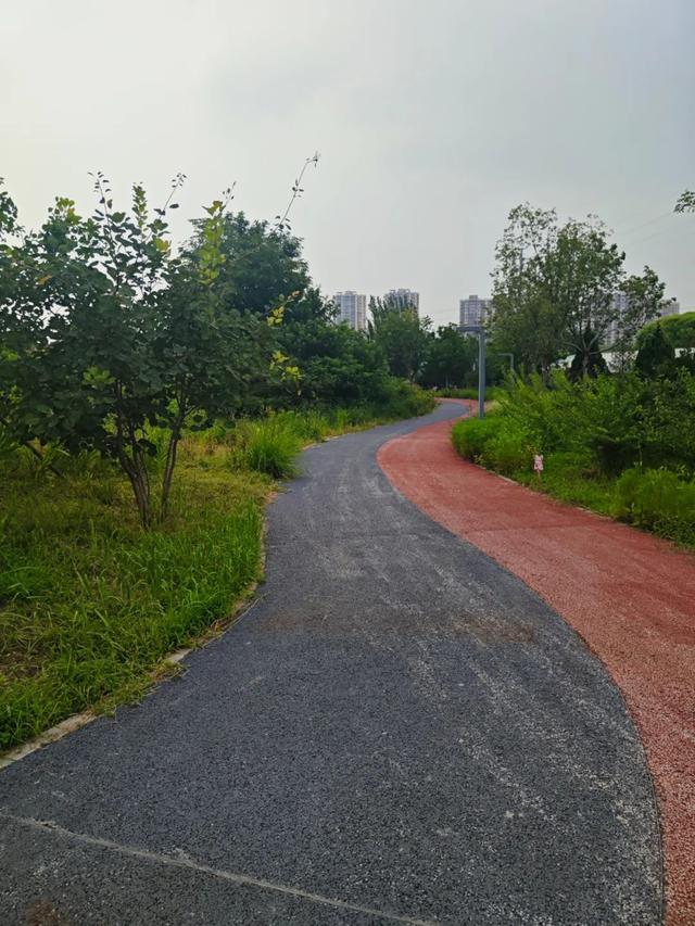 热度高！通州这个新公园到底有啥魅力？小编现场实探，附开放时间......