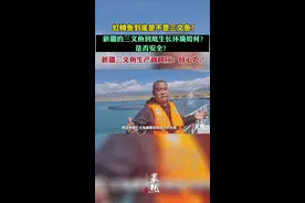 虹鳟鱼到底是不是三文鱼？ 新疆的三文鱼到底生长环境如何？是否安全？新疆三文鱼生产商回应：放心吃！图片