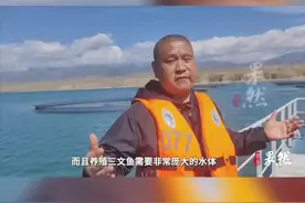 虹鳟鱼到底是不是三文鱼？ 新疆的三文鱼到底生长环境如何？是否安全？新疆三文鱼生产商回应：放心吃！图片