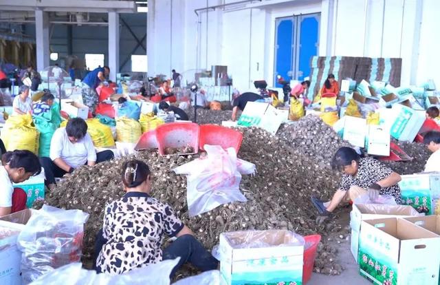 铅山县红芽芋电商直播带货大赛等你来挑战