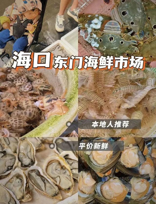 闭眼冲！解锁海口N种宝藏玩法