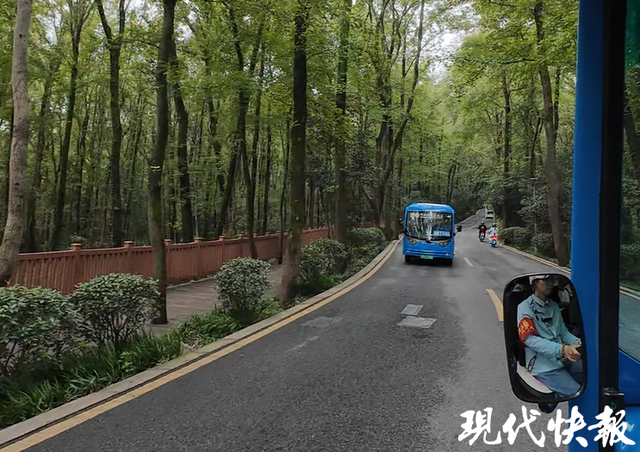 南京梧桐大道“无车”首日实探：接驳站点“车等人”，公交进景区最实惠便捷