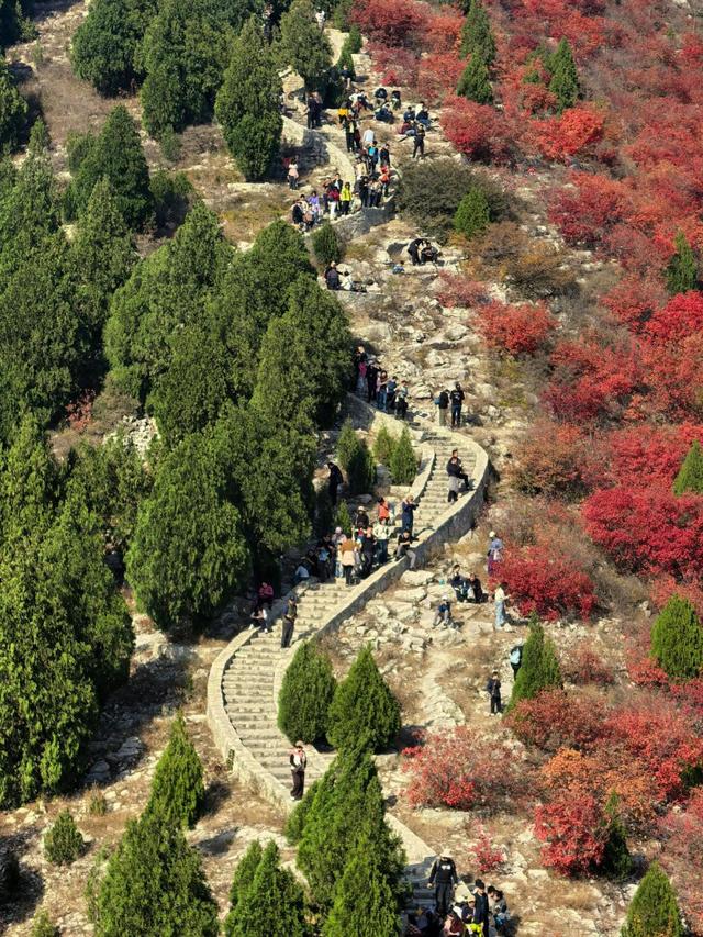 行进中国丨绿道蜿蜒处，山色入城来