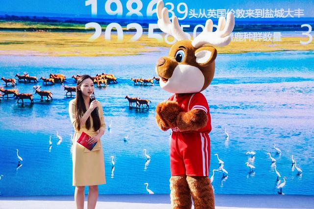 旅游节分会场各有精彩，五地文旅惠民产品齐聚申城