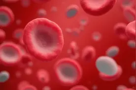 什么是地中海贫血？图片