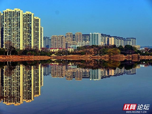 漫步神农湖：在城市的喧嚣边缘，寻一方安宁