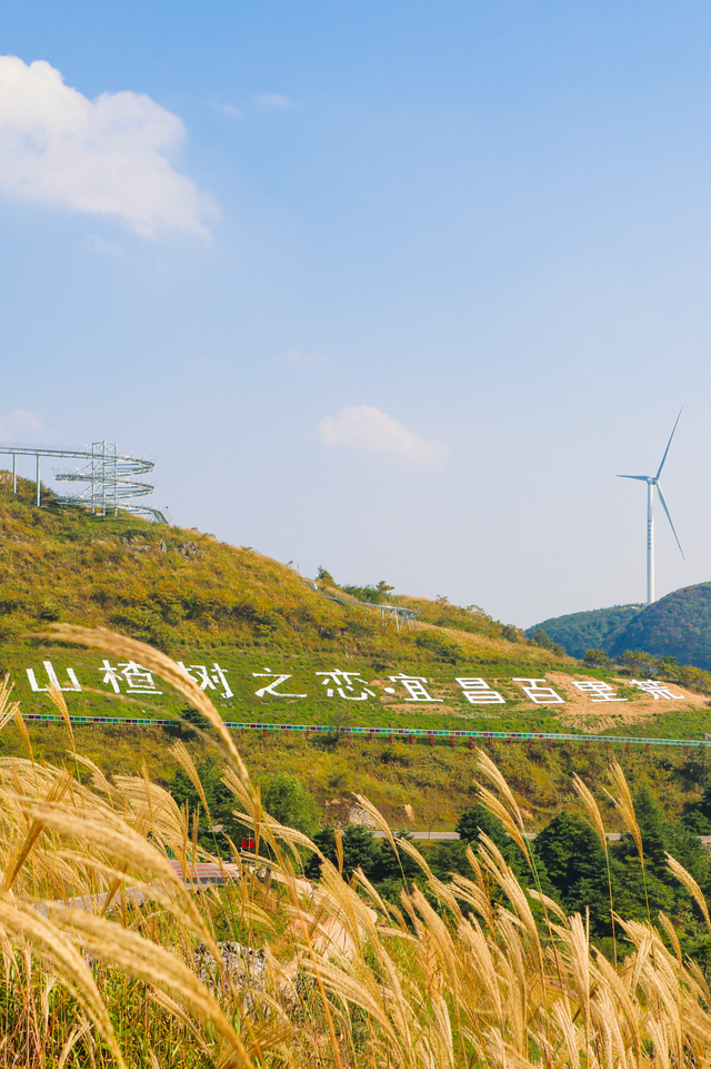 湖北有礼 | 免费领门票！打卡三峡红叶季，赴柴埠溪、百里荒金秋浪漫之约