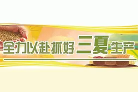 全力以赴抓好“三夏”生产 | 以法以情畅通“三夏”交通 尽职尽责护航粮食安全图片