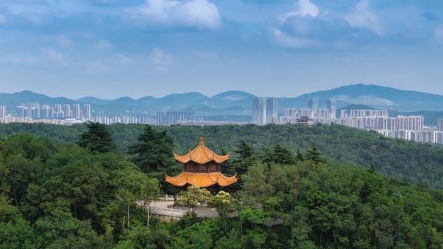 【国庆研学第三弹】森林之子·秋日奇旅（两天一夜）独立营重磅招募！