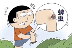 清明出行，蜱虫又又又来了！别硬拔，已有人中招图片