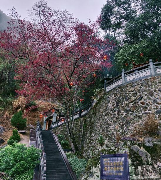 古田鹤塘·佳垅：三县交界的灵韵地标