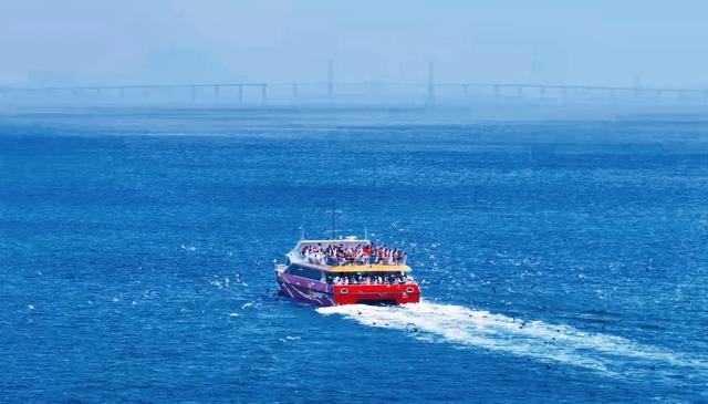 突破百万人次！青岛轮渡“景区化”运营蝶变，跃升网红旅游新地标