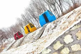 图集|一场大雪让峡山进入白色童话世界图片