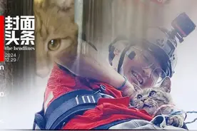 城市里的“猫咪消防员”：8年救下3927只猫，曾一天接到六七个求助图片