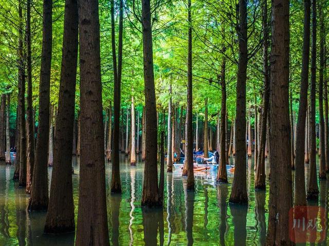 C视觉·“镜”行时㉓|七彩云南：26个民族的诗意家园（人文篇）