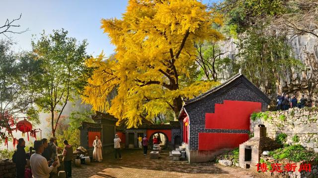 淄博4条主题旅游线路，藏着超多惊喜玩法，快来打卡！