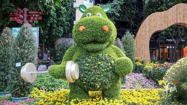 广州文化公园第66届“羊城菊会”周末迎最佳观赏期，将延展至12月上旬