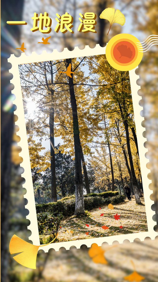 超美！大邑人的顶流来了