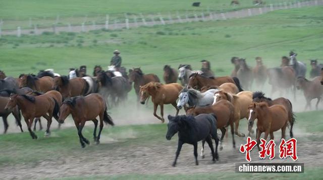 央媒看武威丨“马”上千年 一匹马跑成文旅顶流