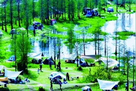 长沙露营有多火？ 大数据来说话图片