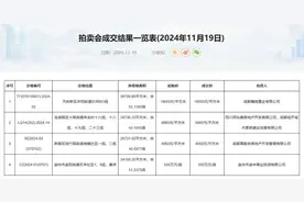 成都土拍丨四宗地底价成交 新希望再入十陵图片