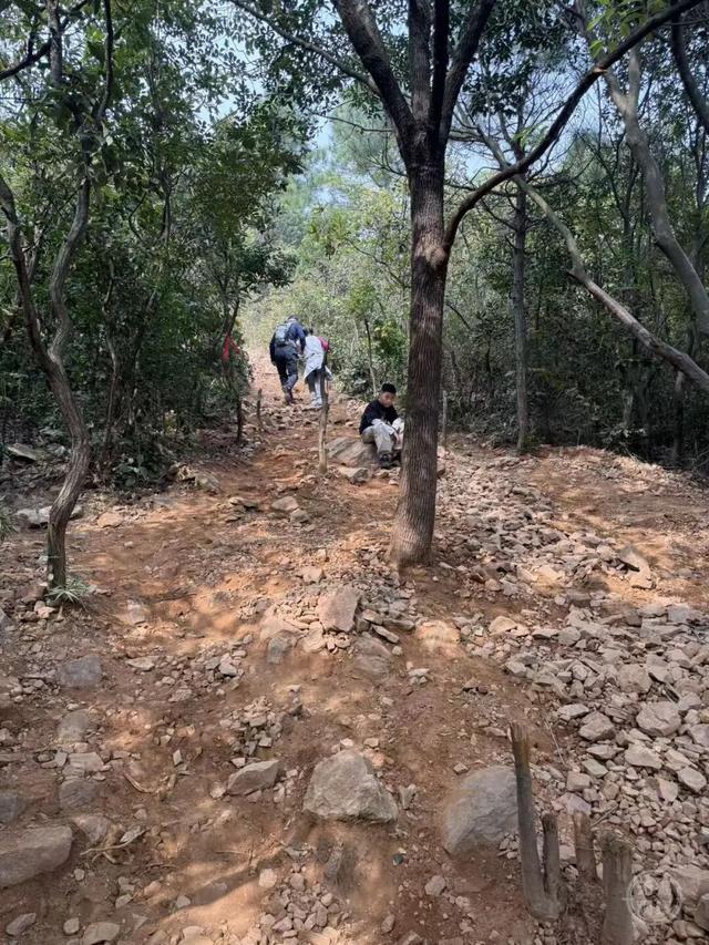 户外！户外！重要提醒